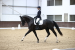 SBM_019431