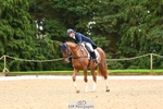Rider 210 to 219 portfolio