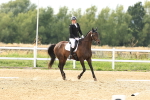 SBM_000634