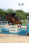 Class 7: Senior 1.05m portfolio