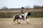 SBM_007951
