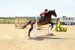 SBM_006252