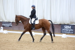 SBM_004522