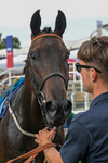 250726-Race 7-Flight Control-1379