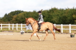 SBM_009224