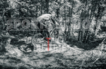 MTB Downhill 2020_Round-4-33