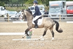 JAC_5785