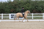 SBM_002895
