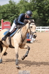Cls 33 Foxhunter and 1.10m Open portfolio