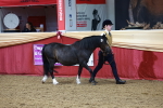 SBM_17305