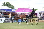 SBM_05764