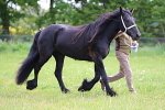 SIAL2770