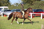 Class 17: Cornish Combination First Ridden portfolio
