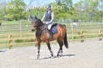 BPP_6690