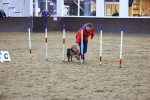 SBM_006091