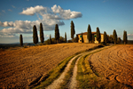 I Cipressini