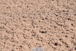 230520A-095410-00018