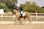 SBM_008781