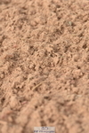 230810A-090644-00017