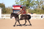 Class 301 - Ridden M&M - Small Breeds portfolio