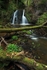Fairy glen waterfall Ross Shire