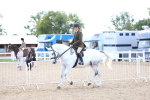 SBM_17159
