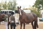 SBM_07765