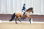SBM_001928