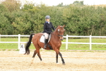 SBM_002891