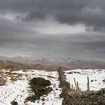 lingmoor fell,  langdale, cumbria