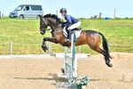 Cls 3 Foxhunter portfolio