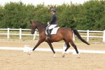 SBM_001910