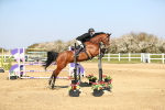 SBM_000646
