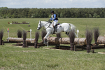 BVHT 140517  IXC -602