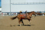 3HRodeo8-11-25_PRCASteer_06693_