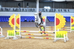 SBM_000267