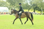 SBM_62631