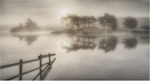 Misty Morning