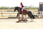 SBM_002591
