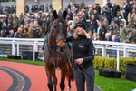 151125-Race 5-Supremely West-3601