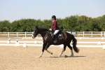 SBM_005649