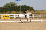 SBM_004179