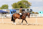 SBM_15469