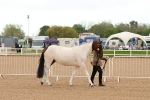 SBM_16480