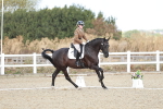 SBM_003586