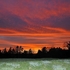 Summer Sunset