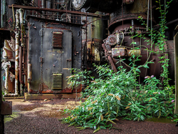 Bethlehem Steel (Bethlehem, PA) | Rust and Weeds
