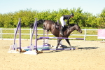 SBM_002099