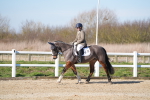 SBM_002186