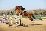 SBM_001444